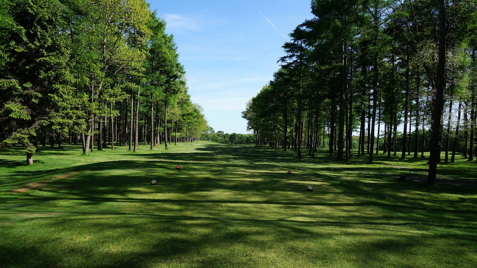 니도무 니스파 코스의 넓은 페어웨이